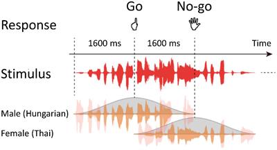 Dynamic Transitions Between Brain States Predict Auditory Attentional Fluctuations